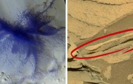 Марсианские иллюзии: странные фото с Марса