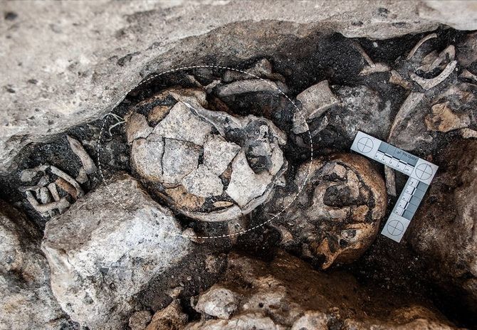 На черепе возрастом 5300 лет обнаружены следы древнейшей хирургической операции на ухе 1