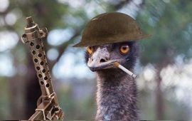 „Großer“ Krieg mit Emus, der vom Menschen kläglich verloren ging!