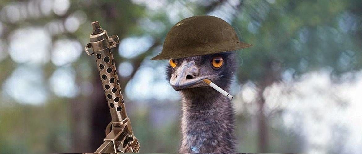 “Great” war with emus, which was lost miserably by man!