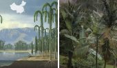 Як виглядав перший ліс Землі?