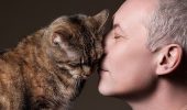 Warum reibt eine Katze ihre Schnauze am Gesicht ihres Besitzers?