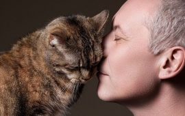 Warum reibt eine Katze ihre Schnauze am Gesicht ihres Besitzers?