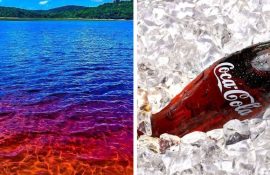Coca-Cola lake in Brazil with cola-colored water