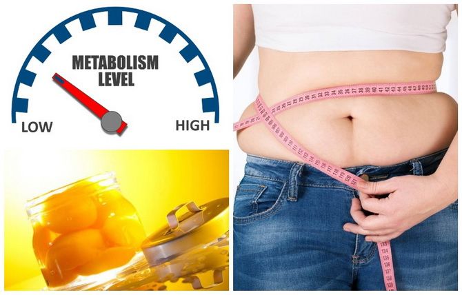 Metabolism: how it works, types and ways to increase its speed 4