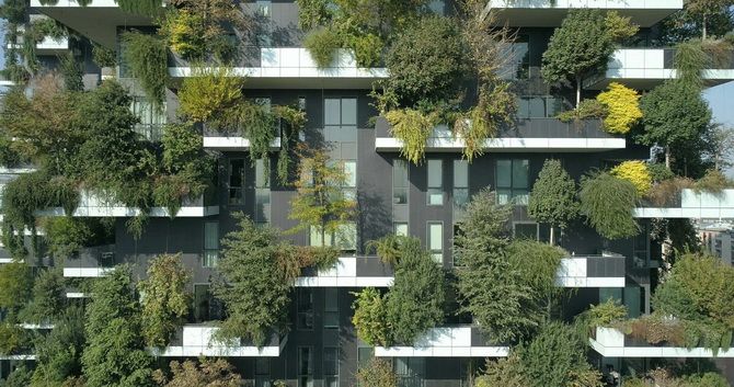 Vertical forest: how landscaping is carried out in Milan 3