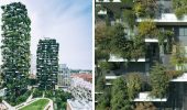 Вертикальний ліс: як проводять озеленення в Мілані