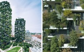 Вертикальный лес: как проводят озеленение в Милане