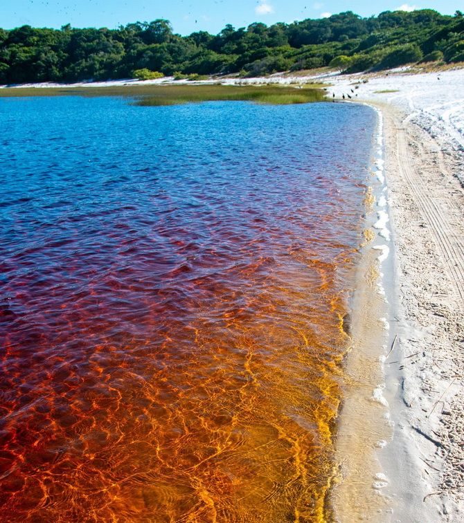 Coca-Cola-See in Brasilien mit colafarbenem Wasser 4