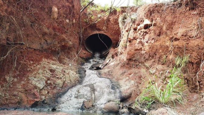 Beer Creek in Hawaii: Paradise or Ecocatastrophe? 2