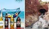 Beer Creek auf Hawaii: Paradies oder Ökokatastrophe?
