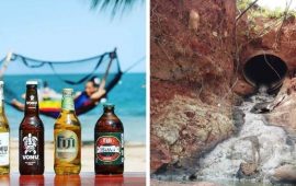 Beer Creek in Hawaii: Paradise or Ecocatastrophe?