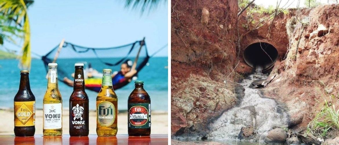 Beer Creek in Hawaii: Paradise or Ecocatastrophe?