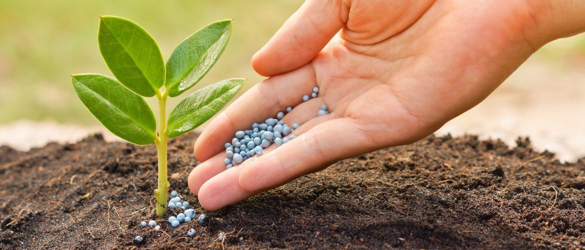 Which fertilizer is better: tips for gardeners