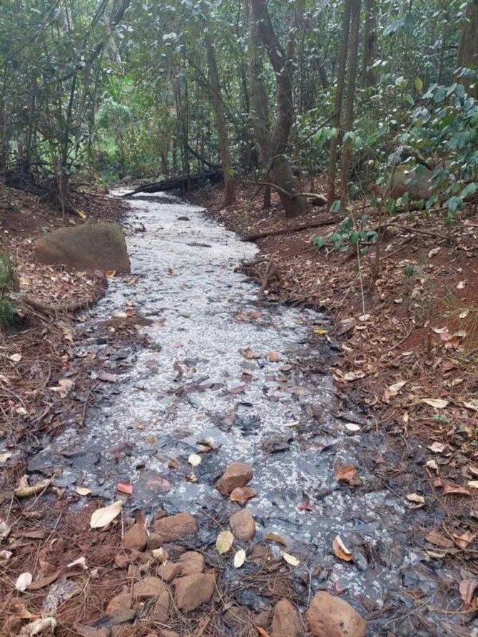 Beer Creek auf Hawaii: Paradies oder Ökokatastrophe? 1