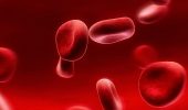 Ученые создали «вампирский» метод омоложения с помощью крови