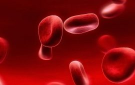 Wissenschaftler haben eine „Vampir“-Methode zur Verjüngung mit Blut entwickelt