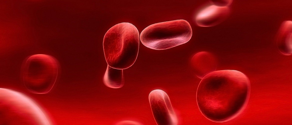 Scientists have created a “vampire” method of rejuvenation with blood