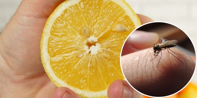 Lemon peel hacks to make your life easier 6
