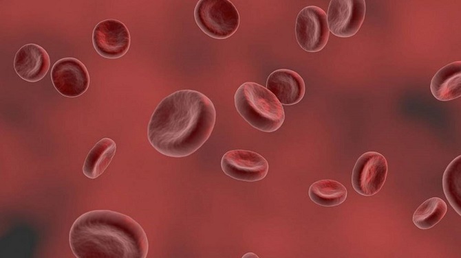 Scientists have created a “vampire” method of rejuvenation with blood 3
