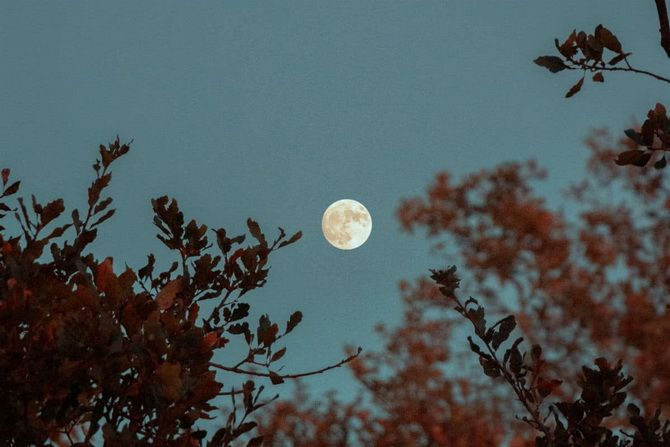 Hirschmond: Wann ist Vollmond im Juli 2022 1