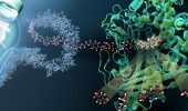 FAST-PETase: Wissenschaftler haben ein Enzym entwickelt, das Plastikflaschen schnell abbaut