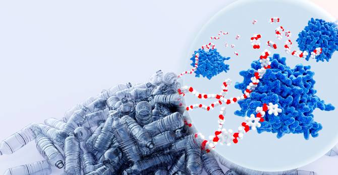 FAST-PETase: Wissenschaftler haben ein Enzym entwickelt, das Plastikflaschen schnell abbaut 2