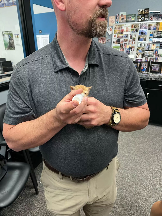 Teachers were shocked by what they found under the ceiling 1