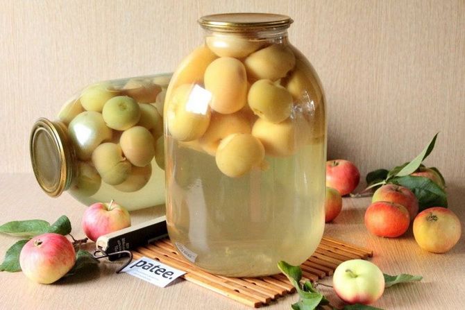 Apfelrohlinge: Möglichkeiten zur Verarbeitung von Sommerfrüchten 1