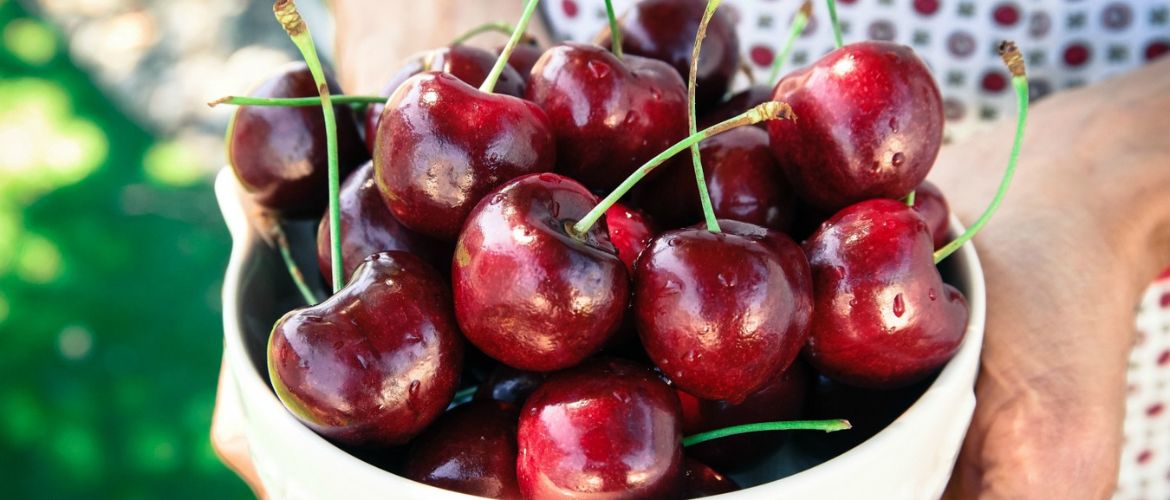 Useful properties of cherries for body health and weight loss