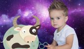 Taurus child: what will the baby be like, characteristics of the zodiac sign