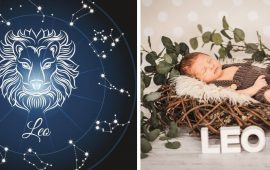 Löwe-Kind: Wie wird das Baby sein, Merkmale des Sternzeichens