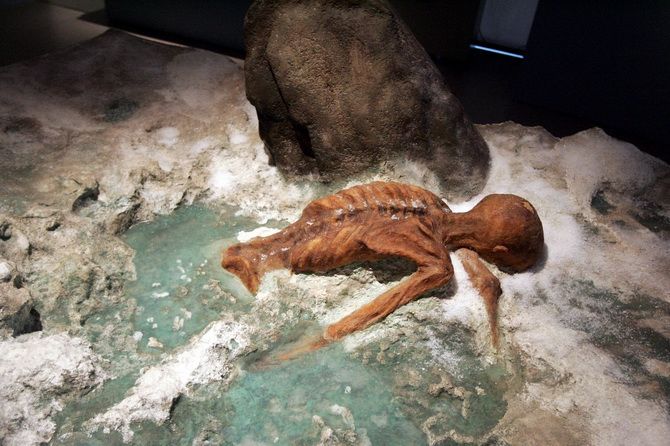 Ice mummy Ötzi: 61 tattoos, a hard life and an insidious murder 2