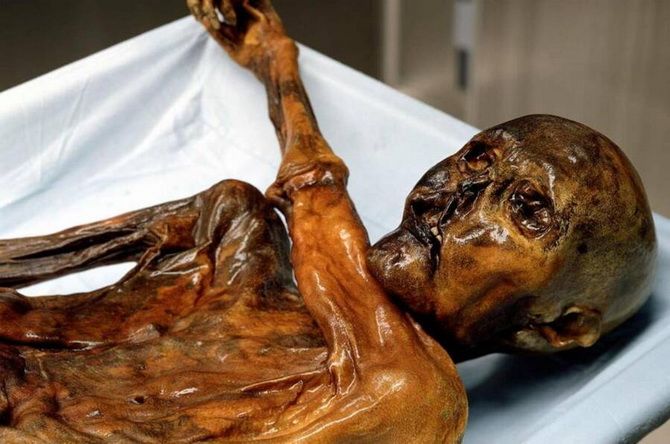 Ice mummy Ötzi: 61 tattoos, a hard life and an insidious murder 4