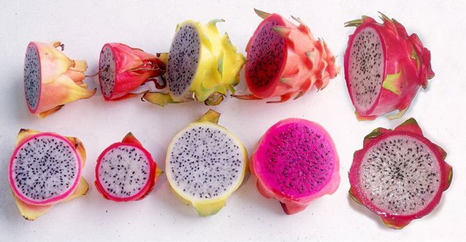 Pitahaya or dragon fruit benefits for skin care 1