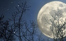 Кукурузная Луна — дата и точное время Полнолуния в сентябре 2022