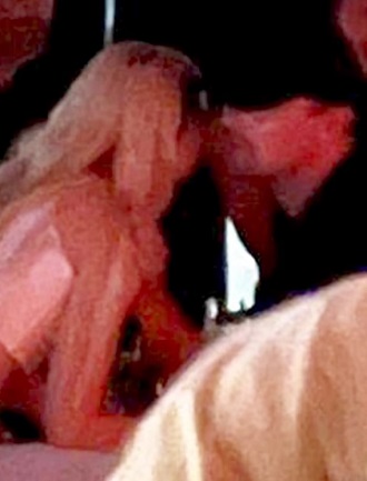 Леонардо ДіКапріо та Джіджі Хадід з’явилися разом на вечірці після чуток про роман 2