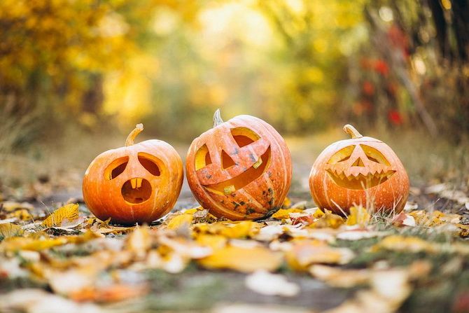 Wann Halloween 2022: das genaue Datum und die Traditionen der Feier in verschiedenen Ländern 5