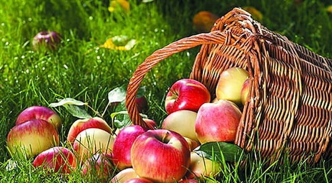 Tasty and healthy: what will happen to our body if we eat apples every day? 3