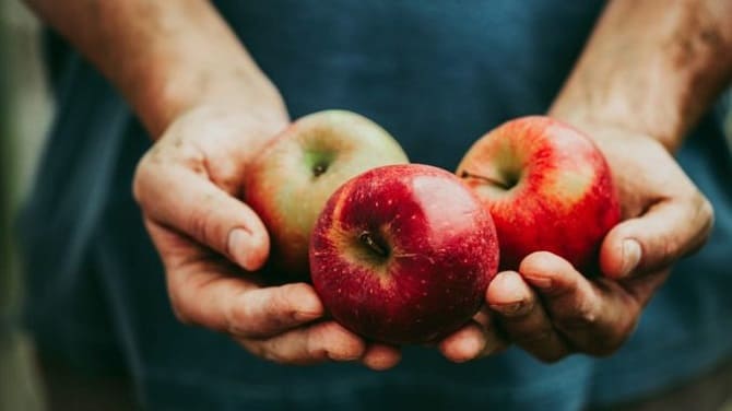 Tasty and healthy: what will happen to our body if we eat apples every day? 7