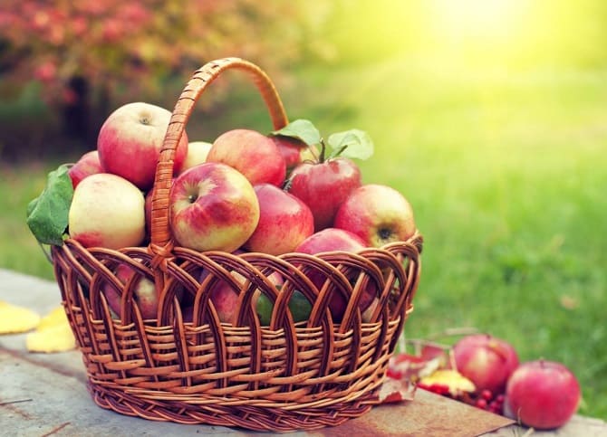 Tasty and healthy: what will happen to our body if we eat apples every day? 1