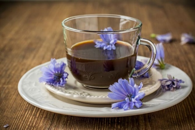 Цикорий – что в нем полезного и почему ним стоит заменить кофе? 4
