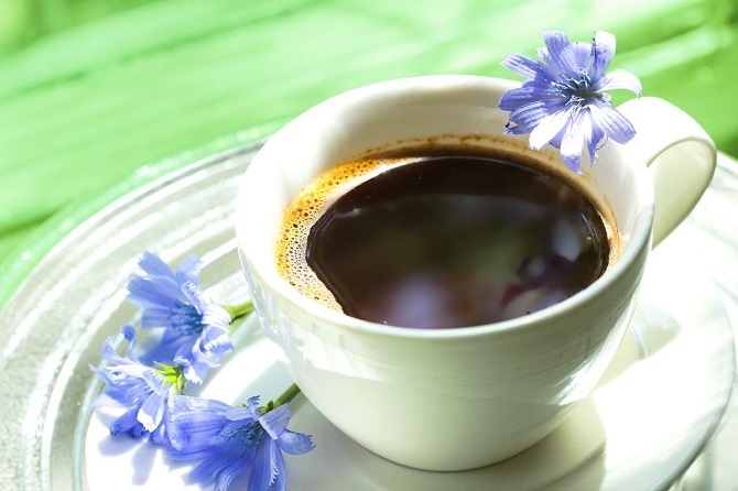Цикорий – что в нем полезного и почему ним стоит заменить кофе? 5