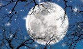Full moon in December 2022 – when the Cold Moon rises