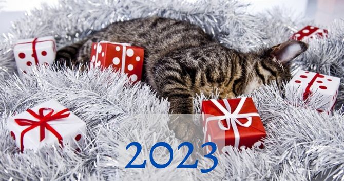 Congratulations on the New Year 2023: cool pictures, prose, poems 1