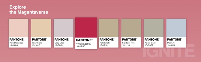 Pantone has named the main color of 2023 3