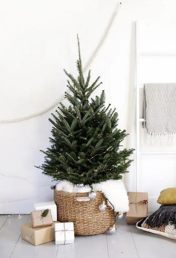 Ideas for Christmas trees in wicker baskets 15