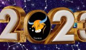Horoscope for Taurus for 2023: what the year of the Black Water Rabbit has prepared for you