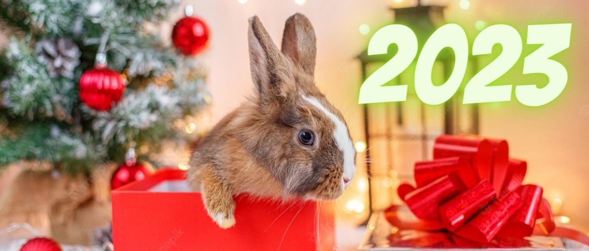 New Year s Greetings From The Editors Of Joy pup