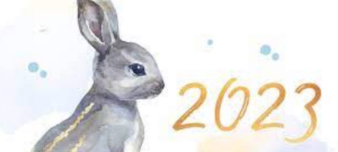 Жартівливий гороскоп на 2023 рік – зустрічаємо Новий рік Кролика з посмішкою